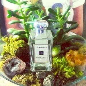 Jo Malone London Ginger Biscuit Cologne